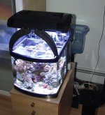 tank lights.jpg