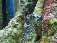 100_10221.JPG