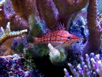 100_12521.JPG