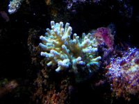 100_12581.JPG