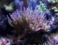 100_12571.JPG