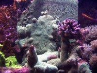 100_10641.JPG