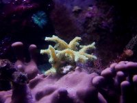 100_12051.JPG