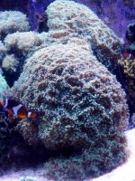 100_12641.JPG