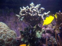 100_12061.JPG