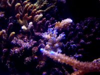100_12081.JPG