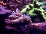 100_12121.JPG