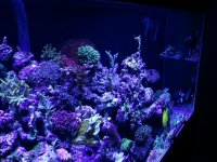2011-03-17 19.17.56.jpg