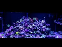2011-03-17 19.18.58.jpg