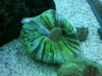 IMG00016-20110122-1101.jpg