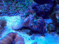 IMG00020-20110430-1512.jpg