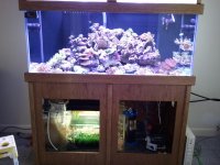 2011-01-22 16.06.52.jpg