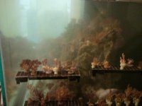 2011-01-21 17.17.05.jpg