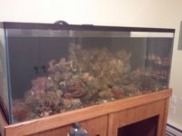 2011-01-21 17.16.32.jpg