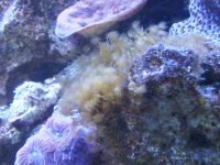 IMG00004-20101209-1218.jpg