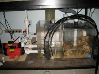 IMG_1593.jpg