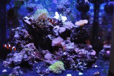 FTS.jpg