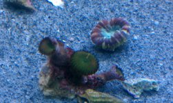 IMAG0072.jpg