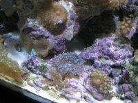 IMG_1699.jpg