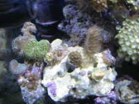 IMG_1705.jpg