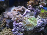 IMG_1708.jpg