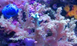 IMAG0253.jpg