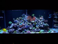 aquarium 323.jpg