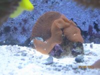 IMG_3773.JPG