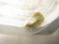 IMG_7432.jpg