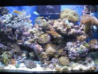 IMG_1686.jpg