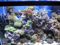 IMG_1688.jpg