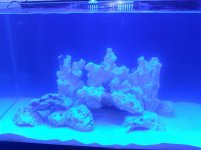 IMG_20110328_214021.jpg