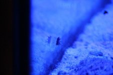 IMG_8166.JPG