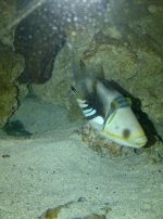 Brooklyn-20110516-00045.jpg