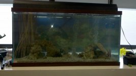 2011-05-04_16-27-26_87.jpg