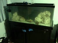2011-02-01 23.37.52.jpg