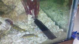 2011-05-13_20-51-56_215.jpg