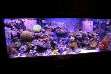 IMG_0742.jpg