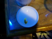 100_3617.jpg