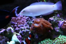 IMG_3473.jpg