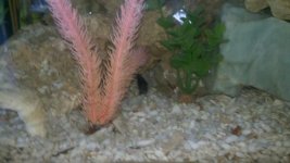 2011-05-20_19-12-22_616.jpg
