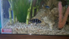 2011-05-20_19-12-38_773.jpg