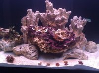 IMG_20110407_010034.jpg