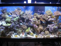 IMG_1696.jpg