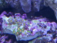 IMG_20110531_083131.jpg