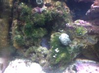 IMG-20111019-00341.jpg