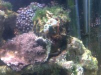 IMG-20111019-00343.jpg
