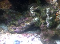 IMG-20111019-00344.jpg