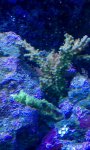 IMAG0255.jpg