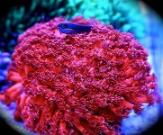 IMG_4536.jpg
